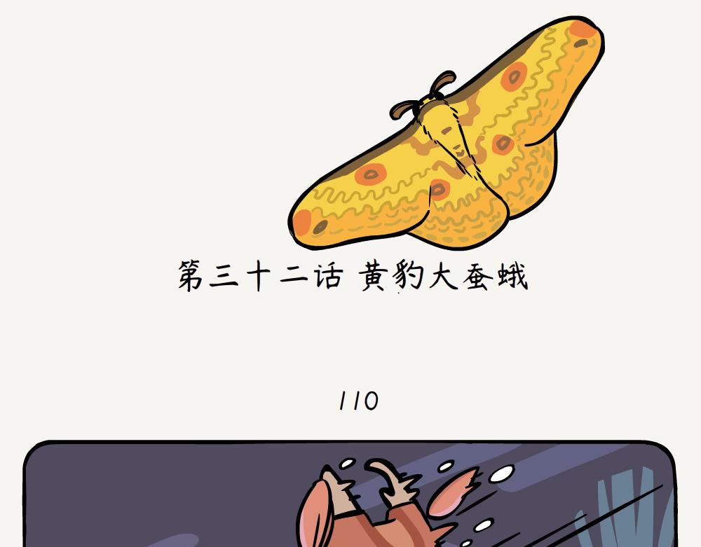 第32话 黄豹大蚕蛾-第32话