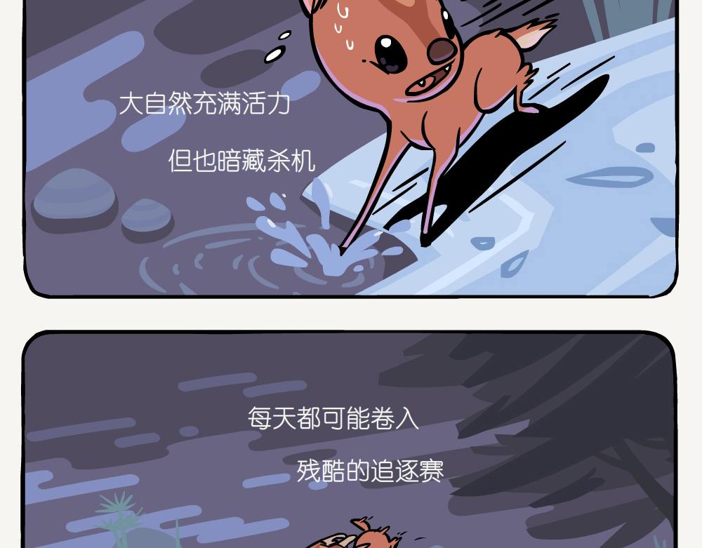 第32话 黄豹大蚕蛾-第32话