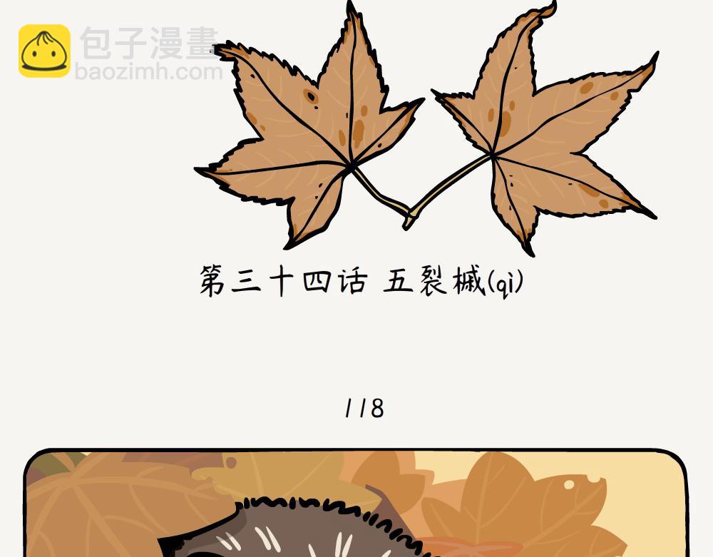 第34话 五裂槭-第34话