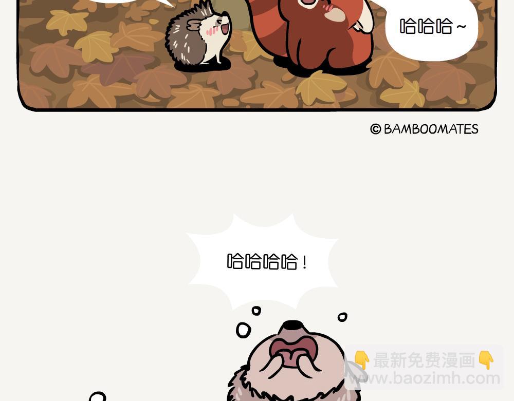 第34话 五裂槭-第34话