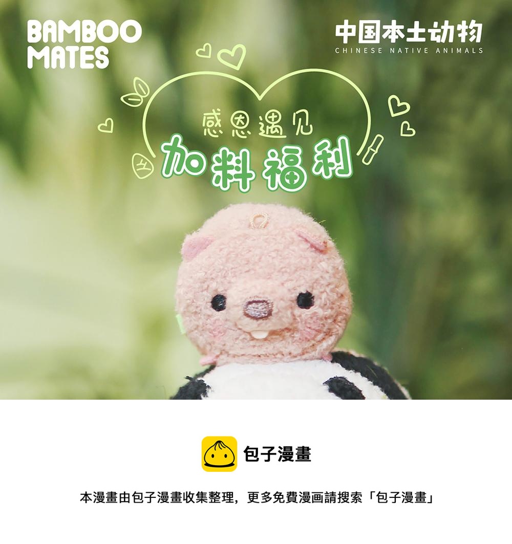 第36话 慈竹-第36话