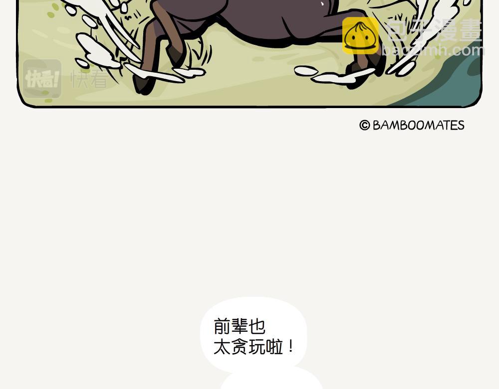 第40话 毛头鬼伞-第40话