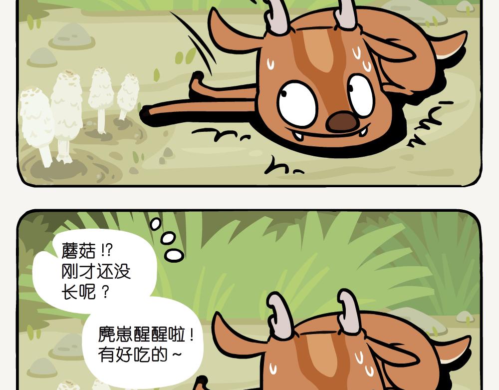 第40话 毛头鬼伞-第40话