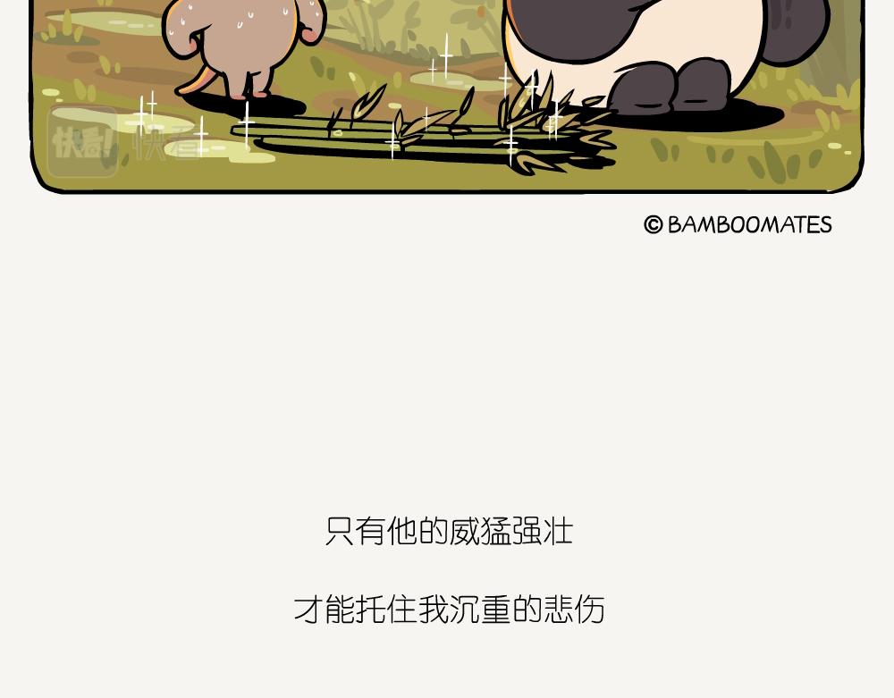 第44话 横纹齿猛蚁-第44话