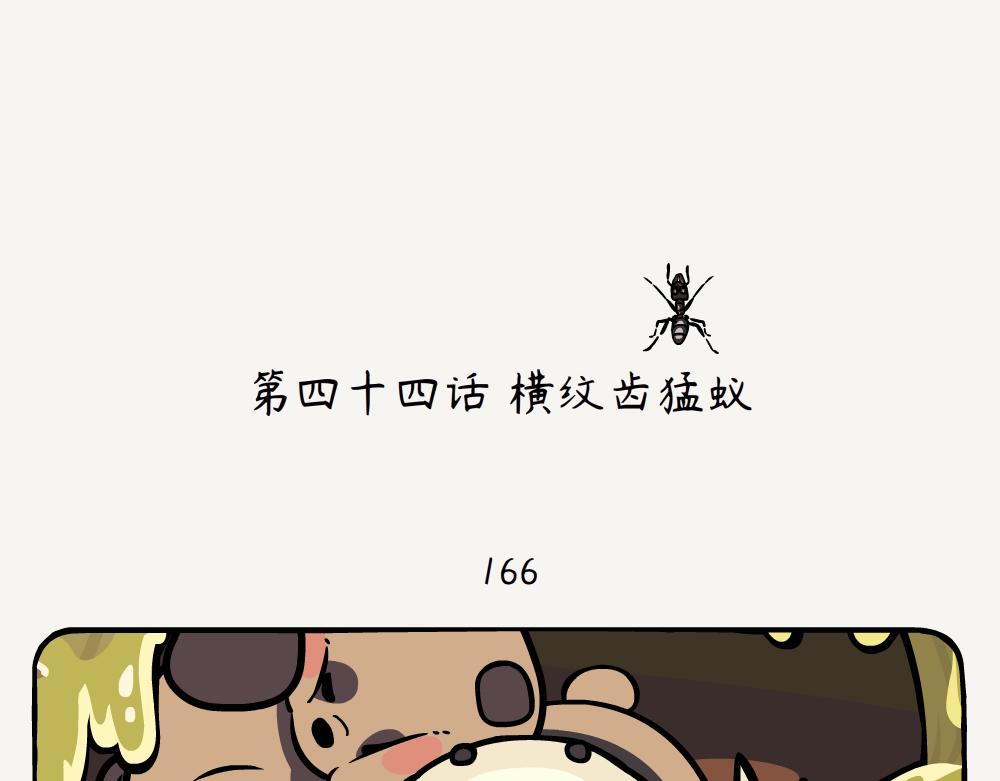 第44话 横纹齿猛蚁-第44话