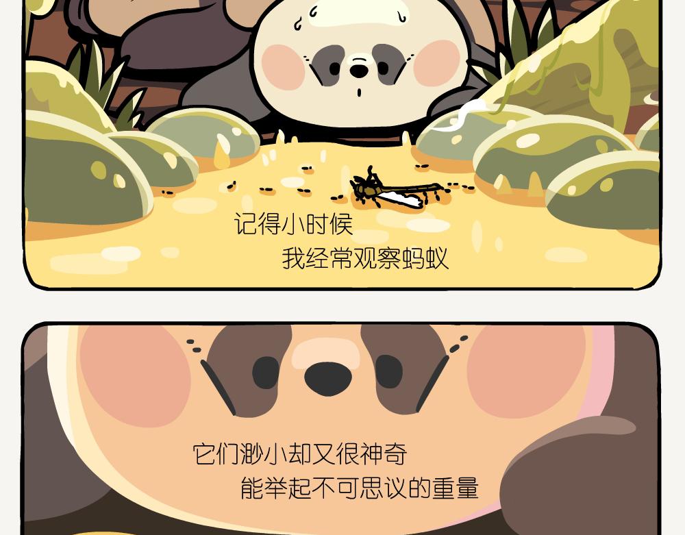 第44话 横纹齿猛蚁-第44话