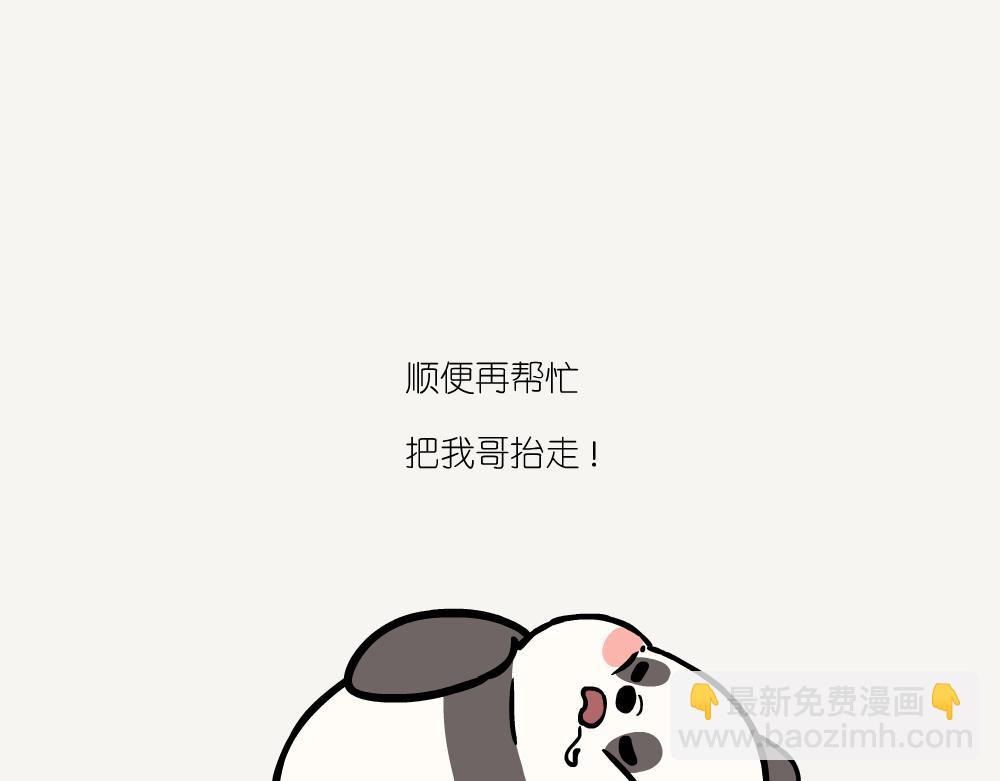 第44话 横纹齿猛蚁-第44话