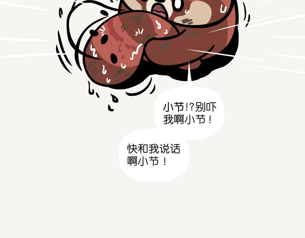 第46话 龙葵-第46话