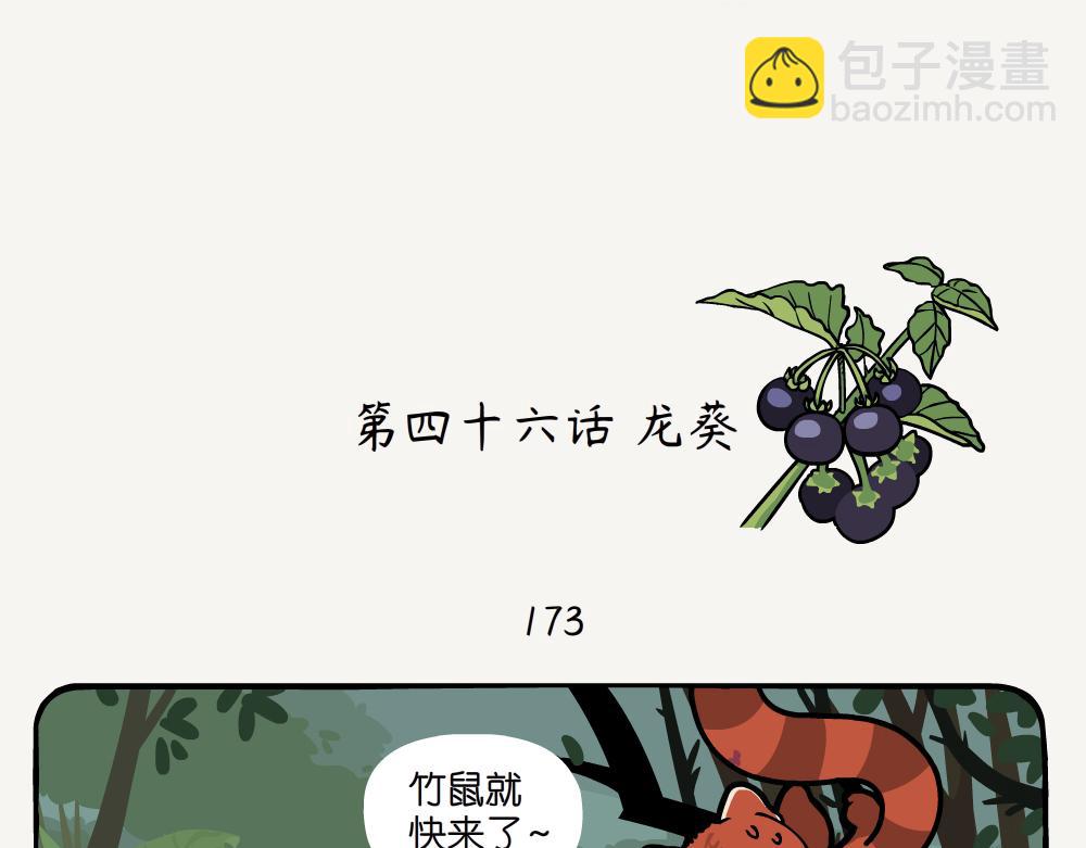 第46话 龙葵-第46话