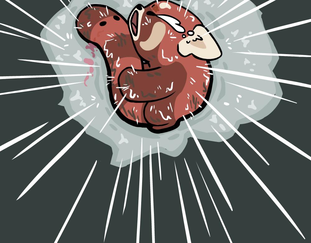 第46话 龙葵-第46话