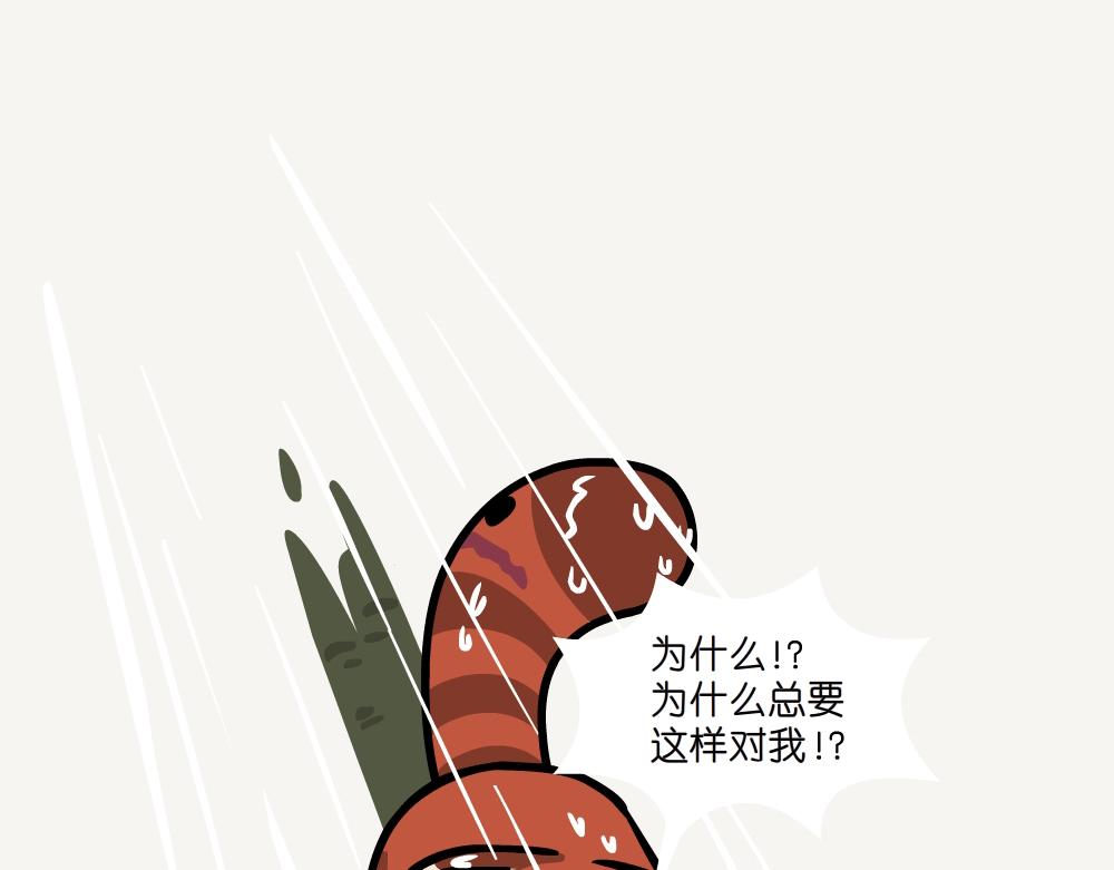 第46话 龙葵-第46话