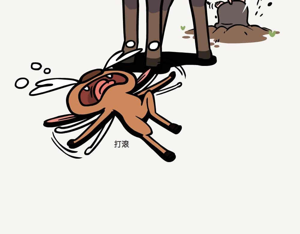 第48话 南酸枣-第48话