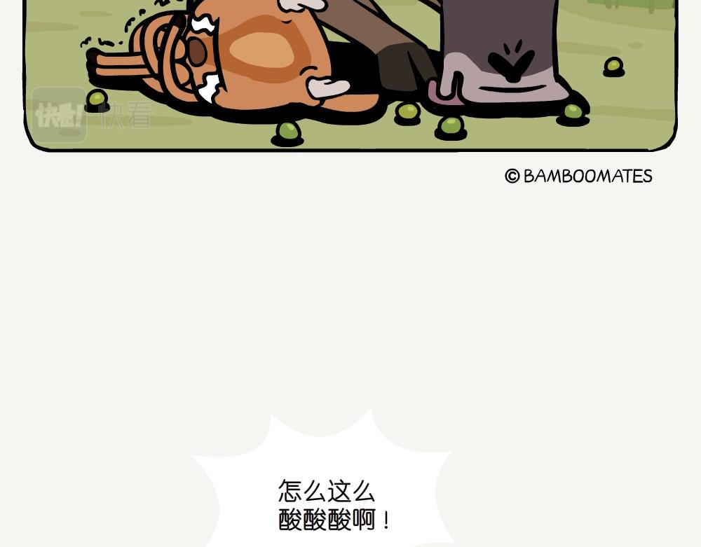 第48话 南酸枣-第48话