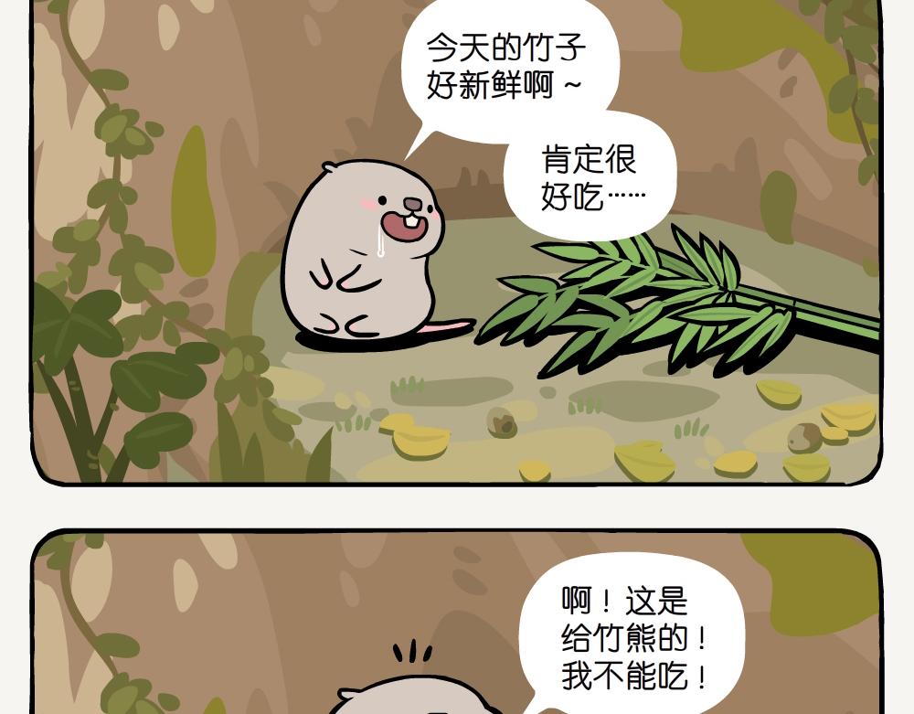 第50话 麻栎-第50话