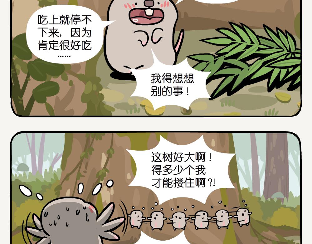 第50话 麻栎-第50话