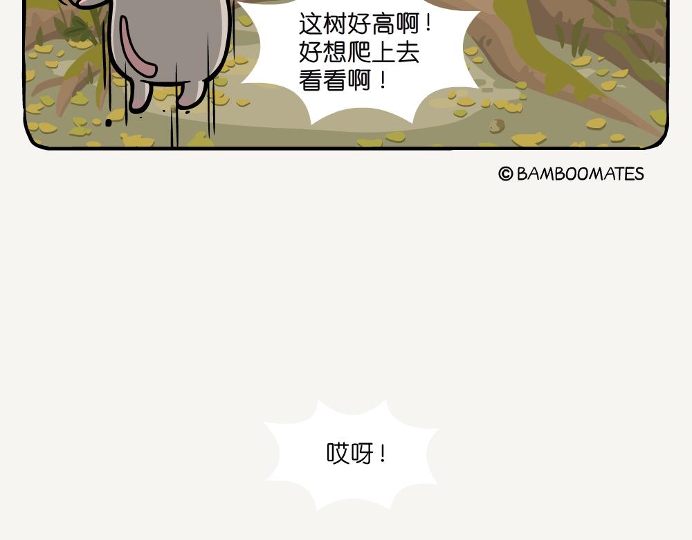 第50话 麻栎-第50话