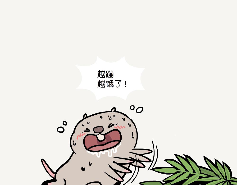 第50话 麻栎-第50话