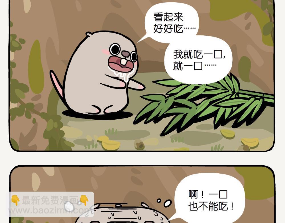 第50话 麻栎-第50话