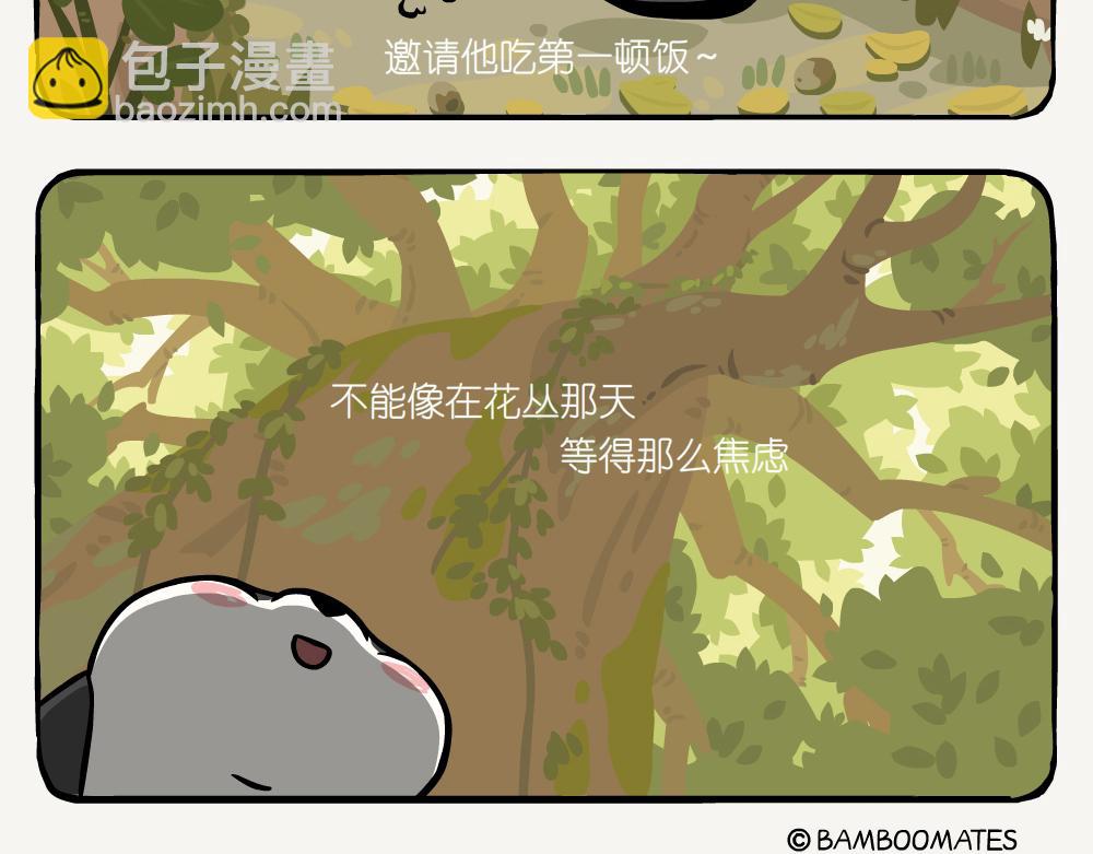 第50话 麻栎-第50话