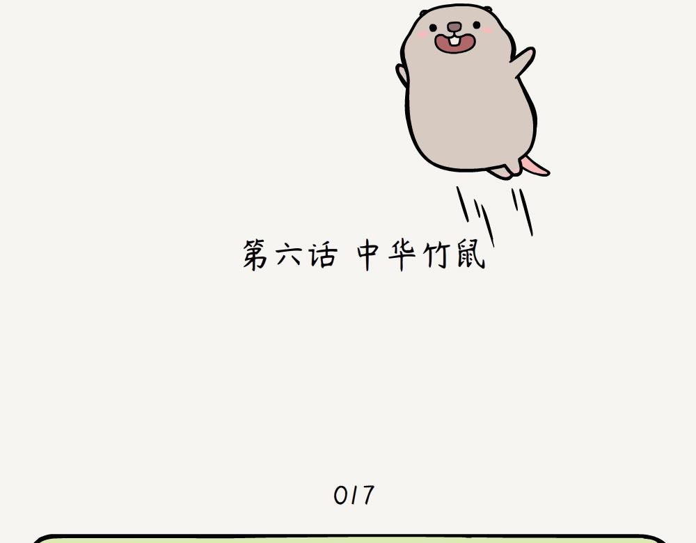 第6话 中华竹鼠-第6话