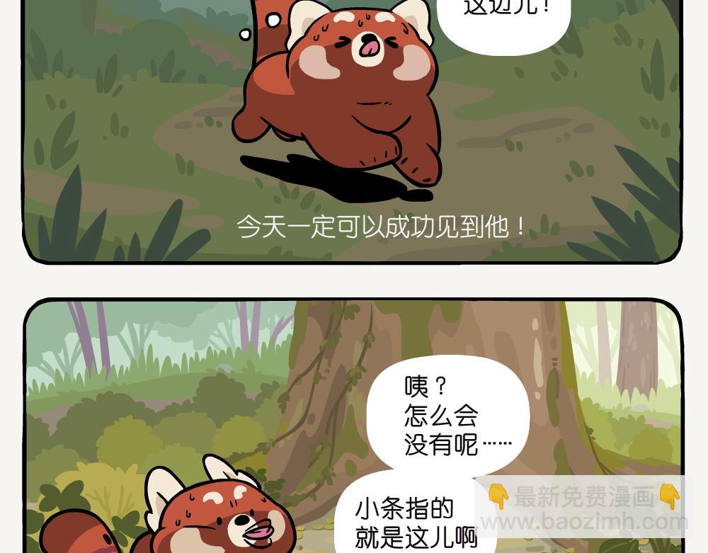 第52话 栎疣柄牛肝菌-第52话