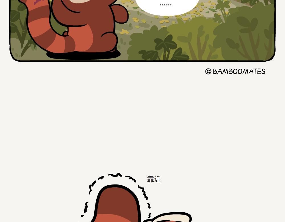 第52话 栎疣柄牛肝菌-第52话