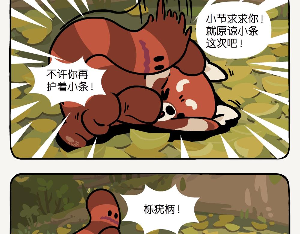 第52话 栎疣柄牛肝菌-第52话