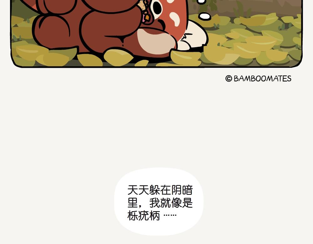 第52话 栎疣柄牛肝菌-第52话