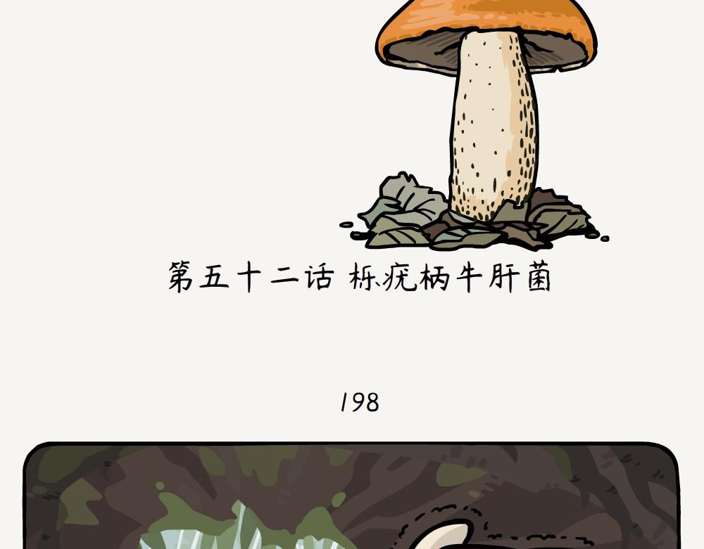 第52话 栎疣柄牛肝菌-第52话