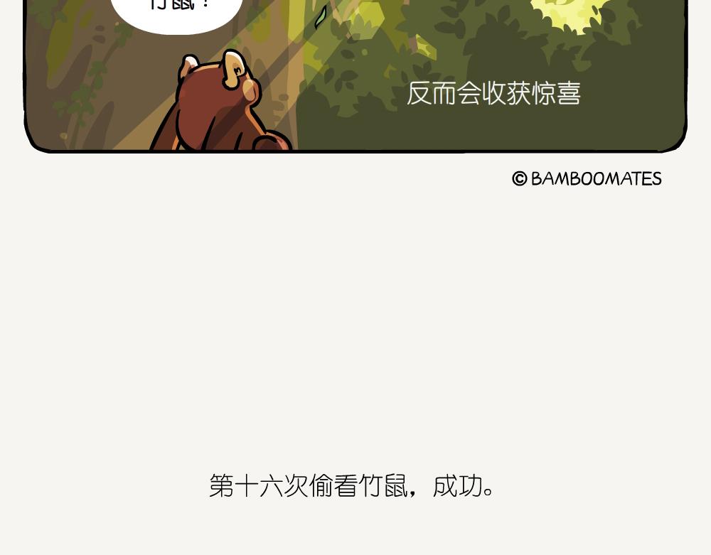 第52话 栎疣柄牛肝菌-第52话