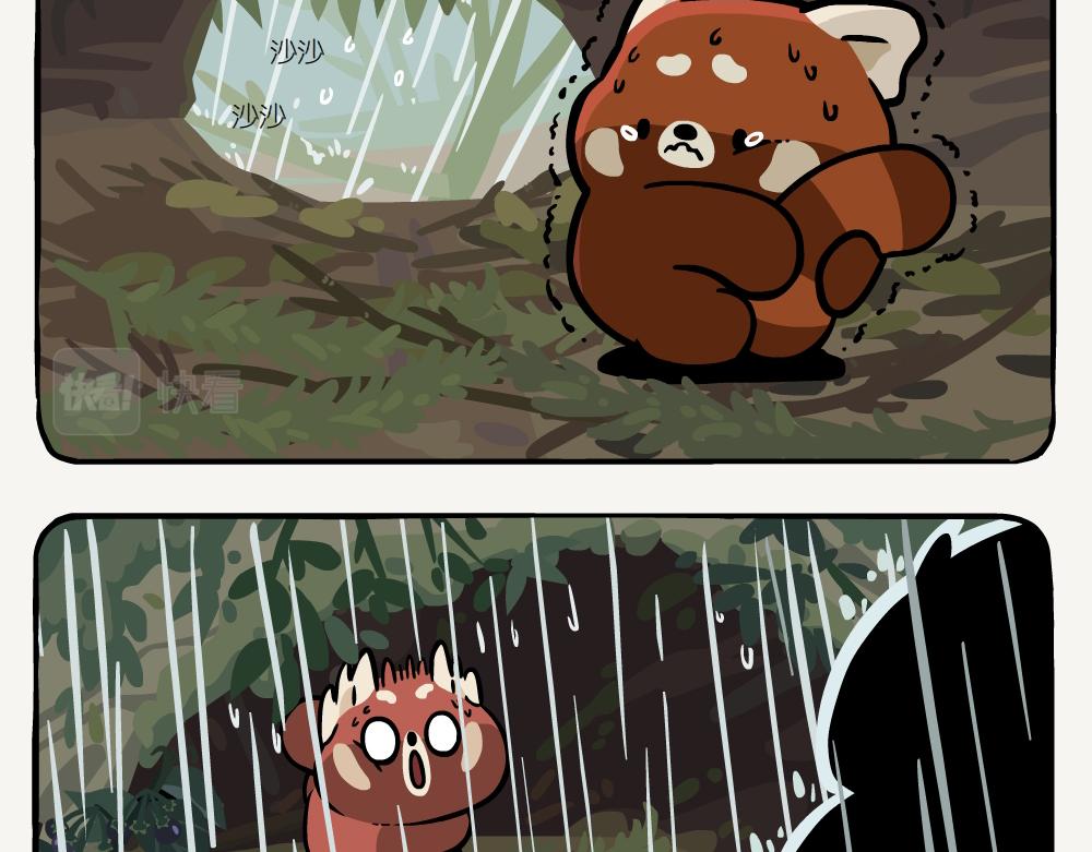 第52话 栎疣柄牛肝菌-第52话