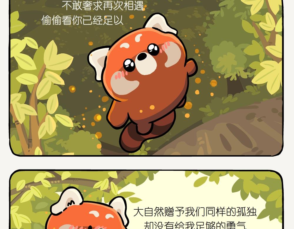 第52话 栎疣柄牛肝菌-第52话