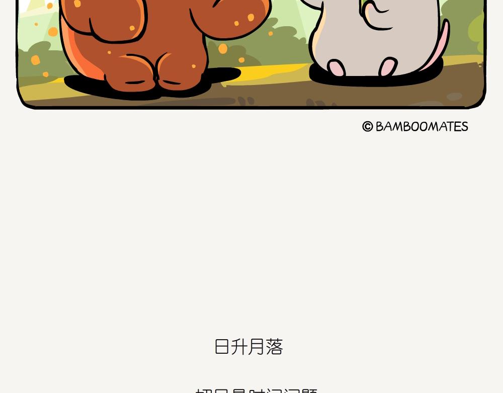 第52话 栎疣柄牛肝菌-第52话