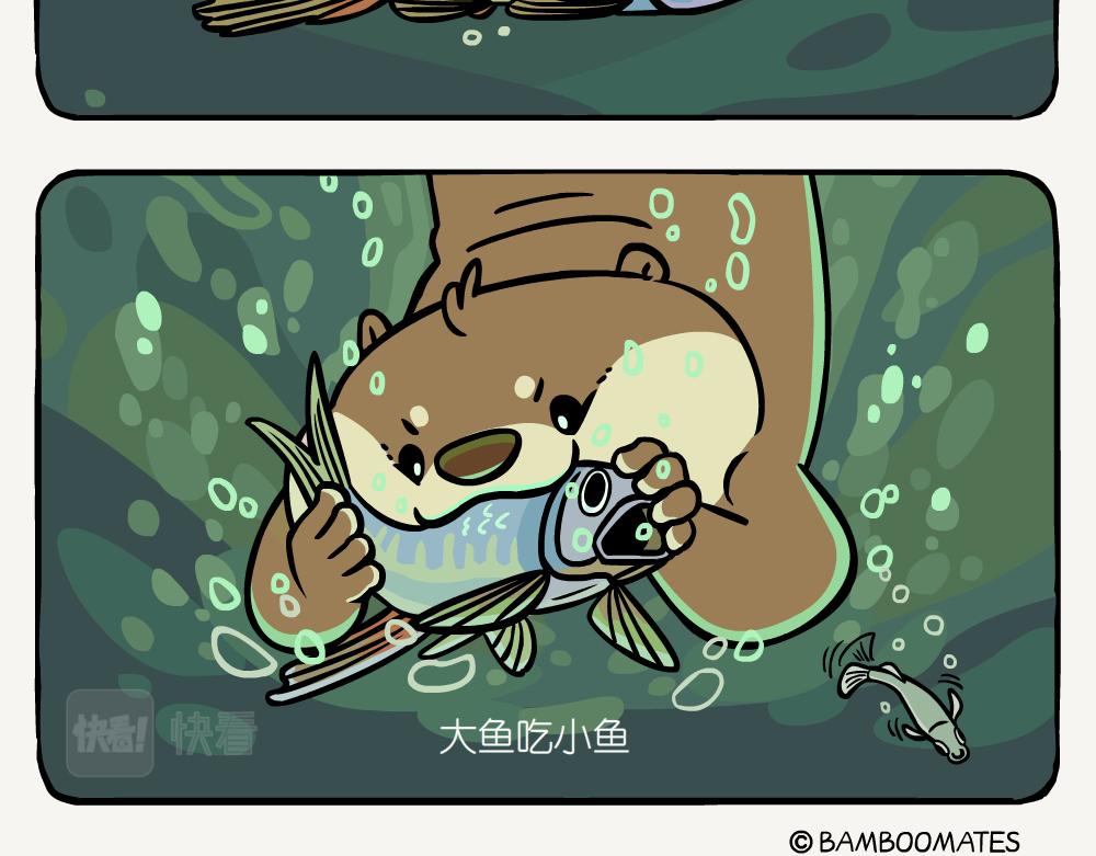 第54话 水獭-第54话