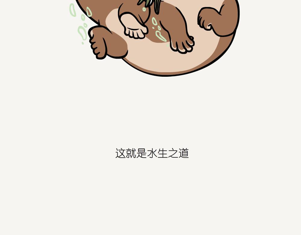 第54话 水獭-第54话