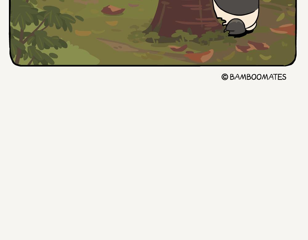 第58话 红桦-第58话