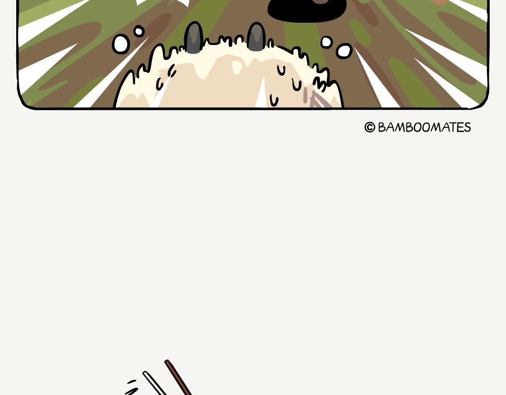 第58话 红桦-第58话