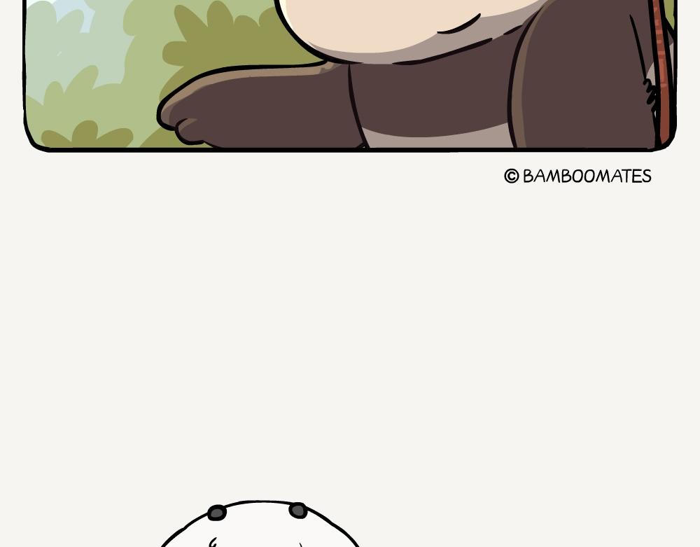 第58话 红桦-第58话