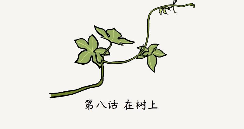 第8话 在树上-第8话