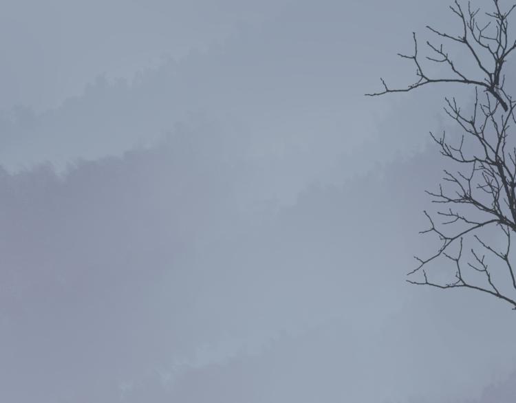 第56话 嫉妒是一把刀(1/2)-第56话