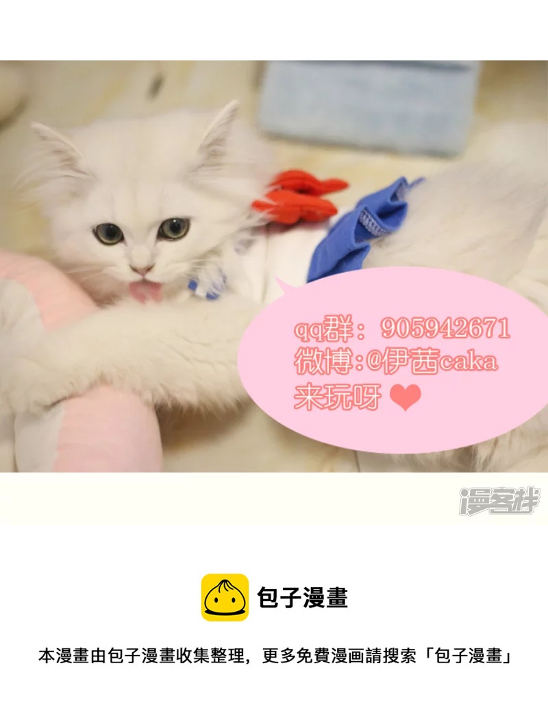 这和想象中的猫咪不太一样-第2话