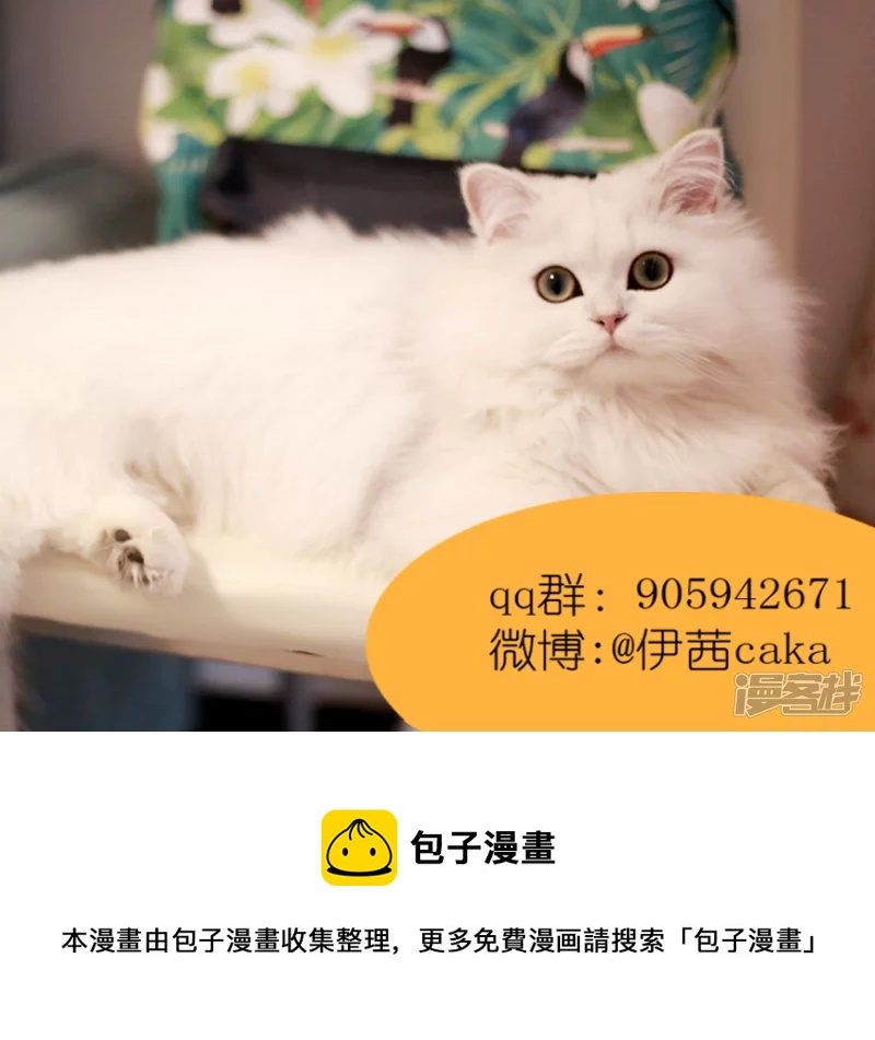 番外.猫王子问答-第18话