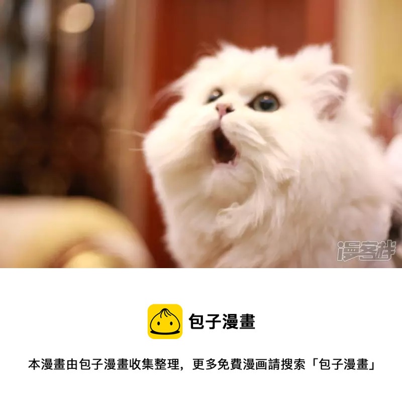 毛茸茸二号-第26话