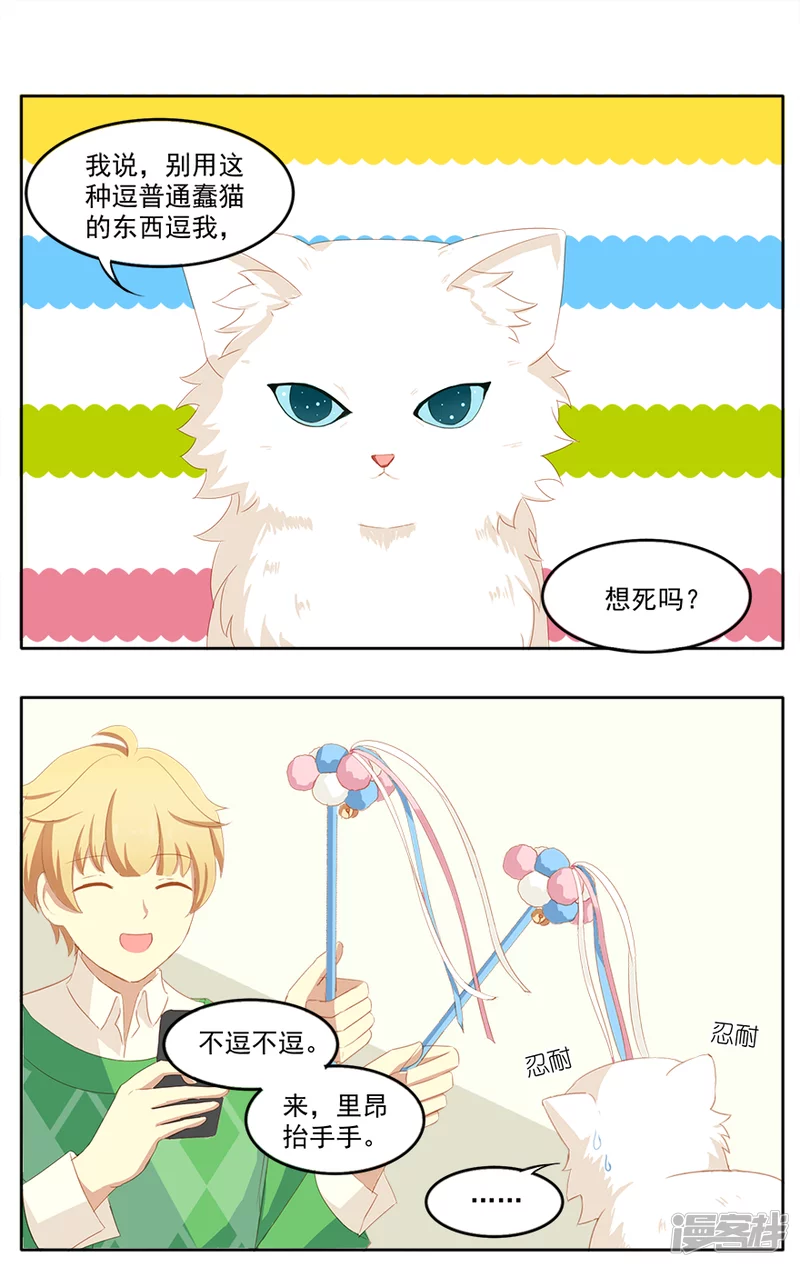 宠物博主-第4话