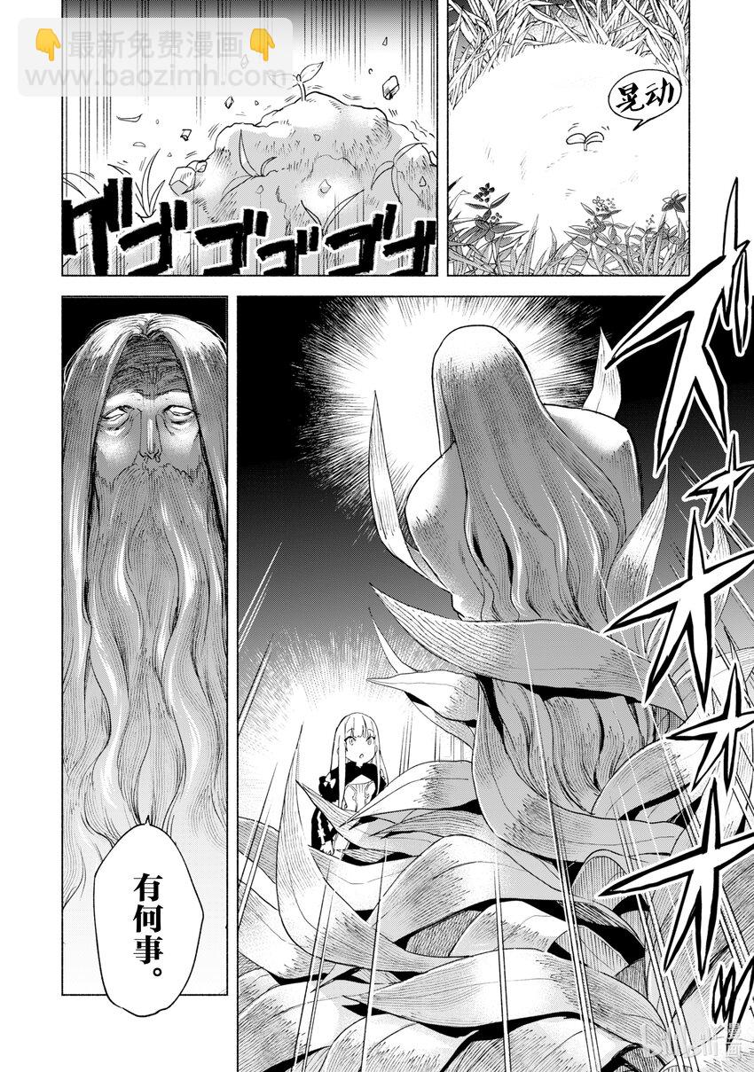 自稱是賢者弟子的賢者 - 36 於靈域的邂逅 - 4