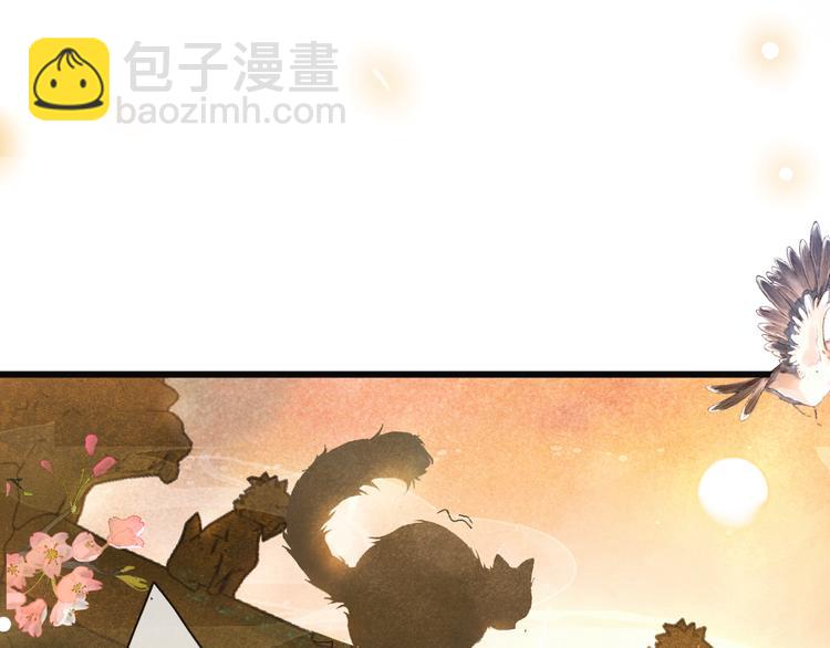 第1话 御猫的神秘生活(1/3)-第4话