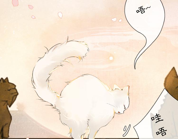 第1话 御猫的神秘生活(1/3)-第4话