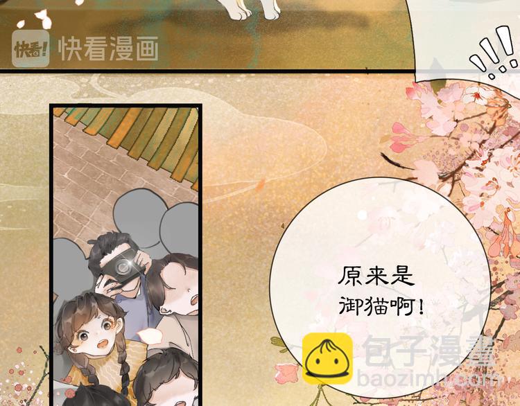 第1话 御猫的神秘生活(1/3)-第4话