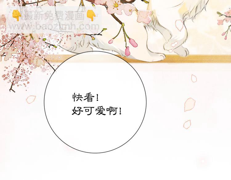 第1话 御猫的神秘生活(1/3)-第4话