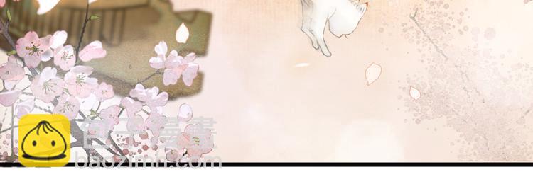 第1话 御猫的神秘生活(1/3)-第4话